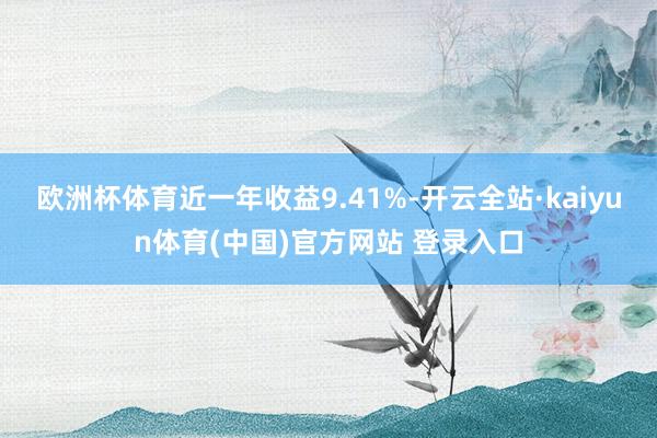 欧洲杯体育近一年收益9.41%-开云全站·kaiyun体育(中国)官方网站 登录入口